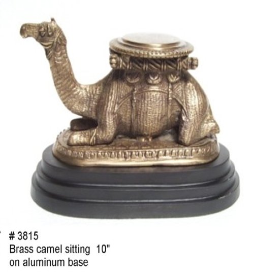 Camel sitting on aluminum base